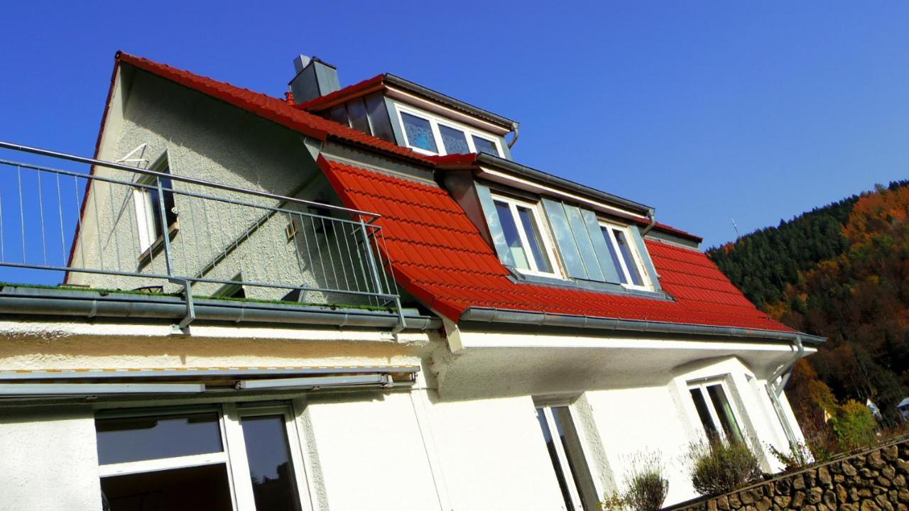 Villa Fink Schramberg Exteriör bild