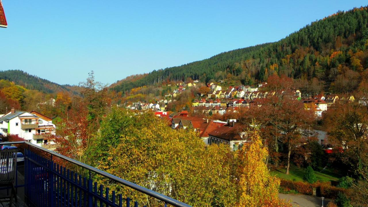 Villa Fink Schramberg Exteriör bild