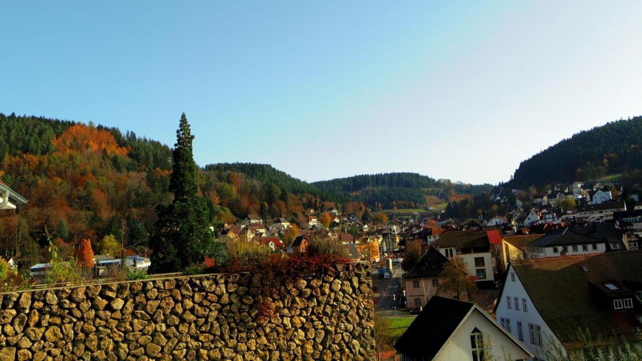 Villa Fink Schramberg Exteriör bild