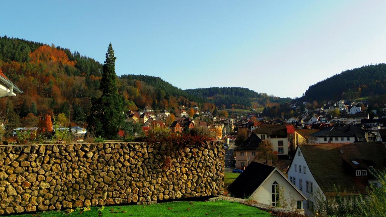 Villa Fink Schramberg Exteriör bild