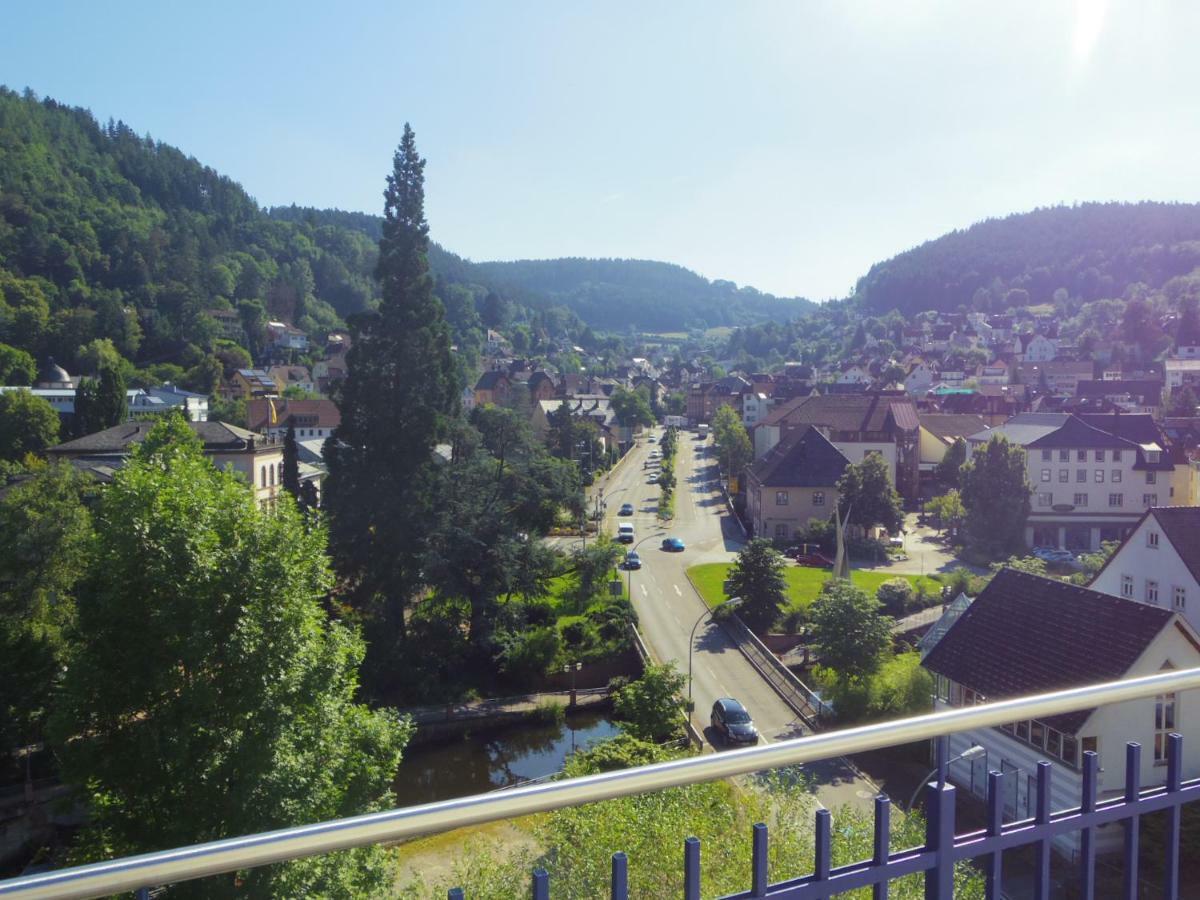 Villa Fink Schramberg Exteriör bild